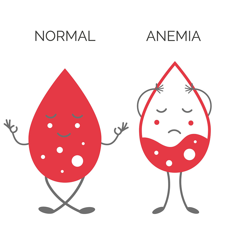 low level in anemia of pregnancy