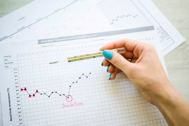 Basal temperature chart