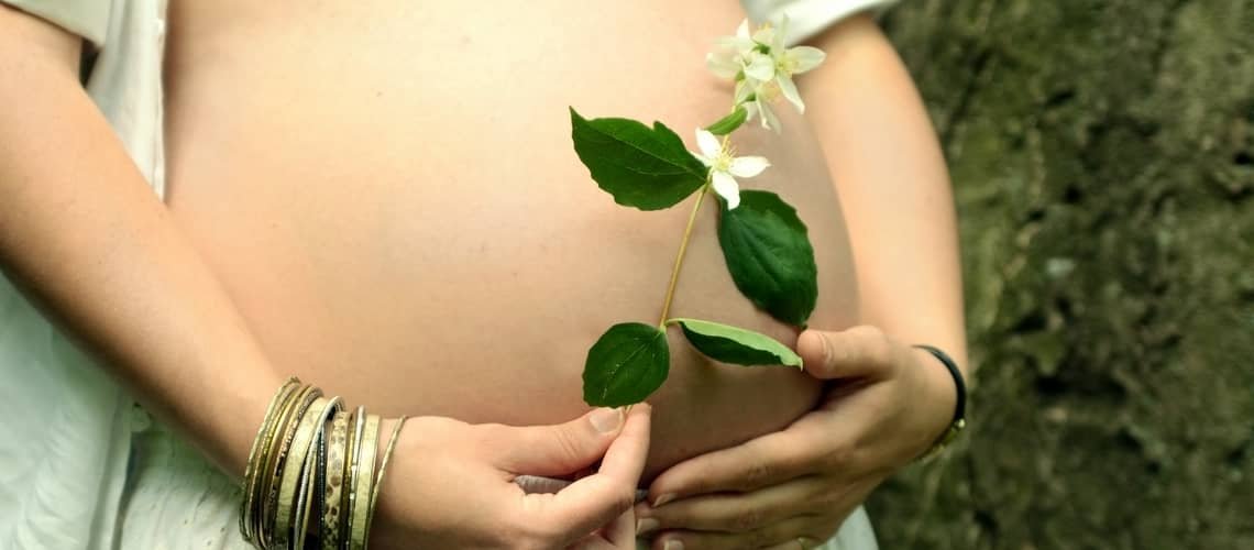 Herbs in pregnancy