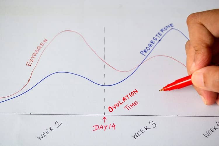 Ovulation phase