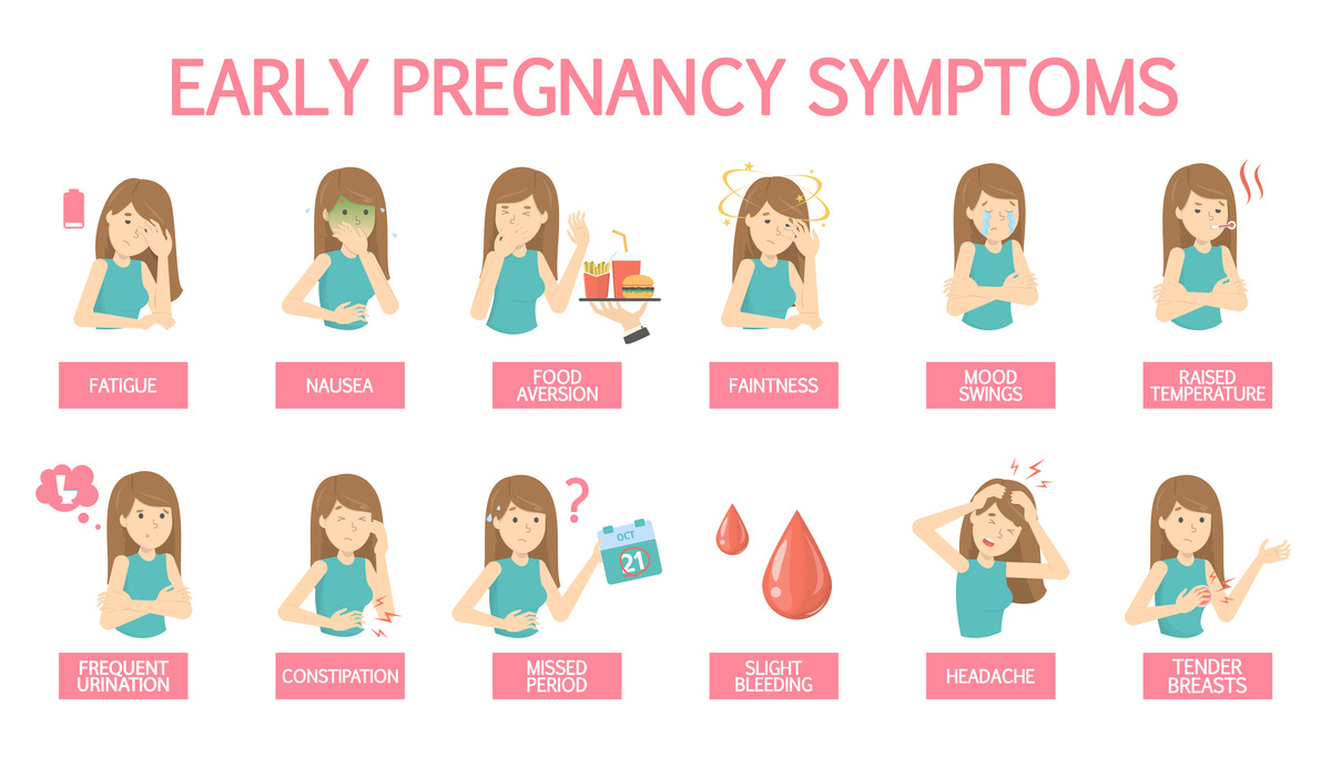 First signs of pregnancy - vomiting, frequent urination, sensitive breasts