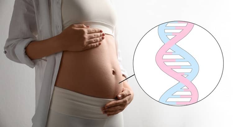 Genetic test to determine the sex of the child