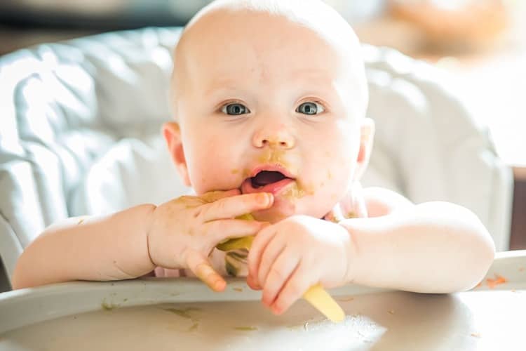 6-month-old child - food and snacks