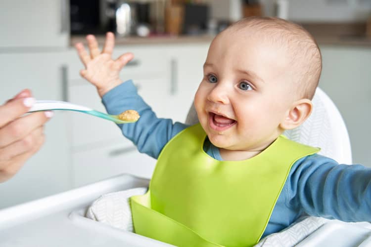What can an 8-month-old baby eat?