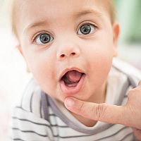 Baby teeth growth