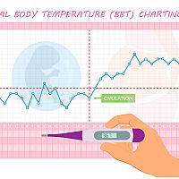 Basal temperature before menstruation