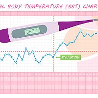 High basal temperature after menstruation