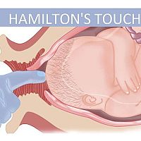 How to do Hamilton touch