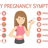 First symptoms of pregnancy