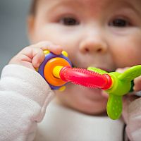 8-month-old baby with a toy