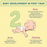 Baby development in first year 2-month-old baby