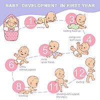 Baby development in first year