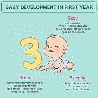 Baby development in first year 3-month-old baby