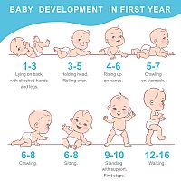 Baby development in first year