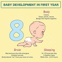 Baby development in first year 8-month-old baby