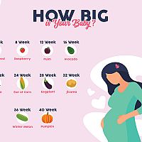 Stages of pregnancy - 4 weeks