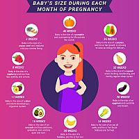 Stages of pregnancy - 10 weeks