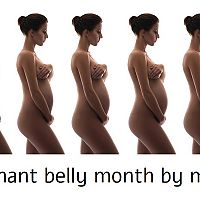 Pregnant belly month by month