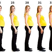 Pregnant belly week by week